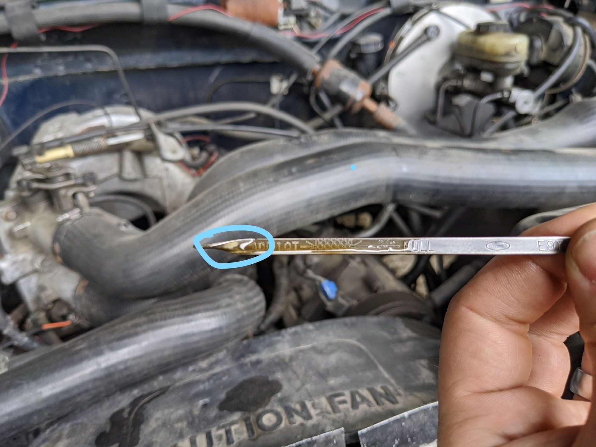 NEW HERE I think I have a head gasket gone Ford Truck Enthusiasts