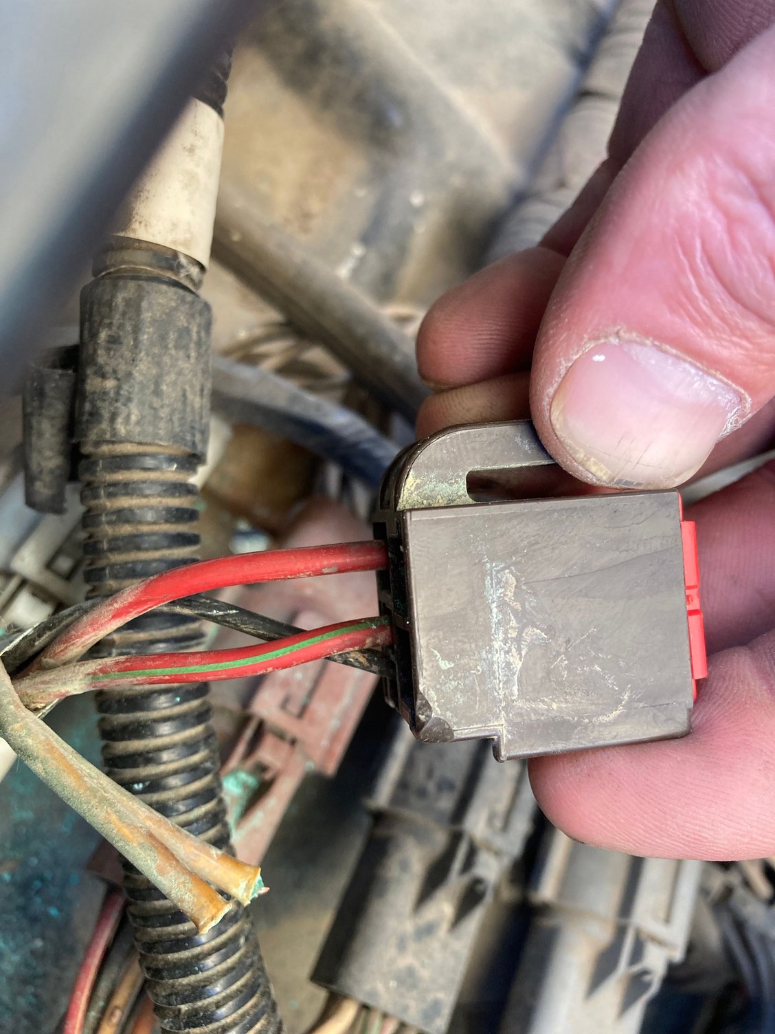 EEC Relay Help Ford Truck Enthusiasts Forums