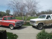 Both my beasts my 1975 orange Explorer Custom F150 with a 460 and my 1980 Ranger F150 XLT with a 351M.