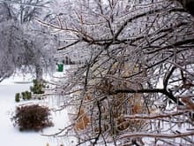 Ice storm picture
