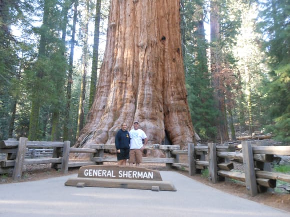 2nd to largest sequoia national forest northern California , my Daughter and I had to get out