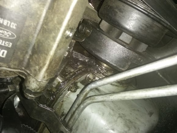 Front underside of engine and oil pan?serpentine belt visible in top right corner