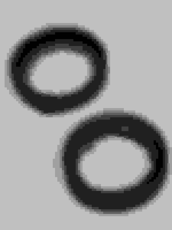 Distributor Shaft Seal, No Not ORing Ford Truck Enthusiasts Forums