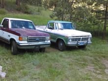 My Truck and my Grandma's 76 f350 with 390.