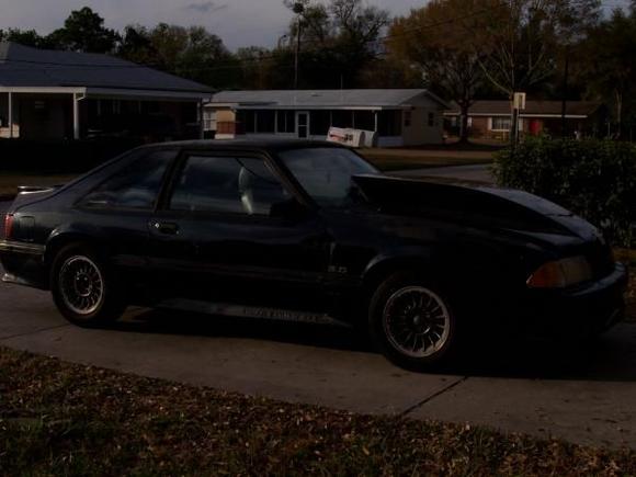 Blue Mustang 014