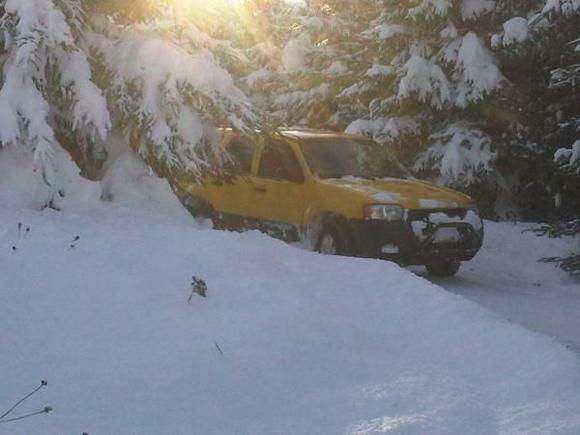 Up North After Snowmobiling