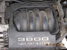 YOU CAN'T CALL IT A 3800 SERIES MOTOR WITHOUT THE COVER