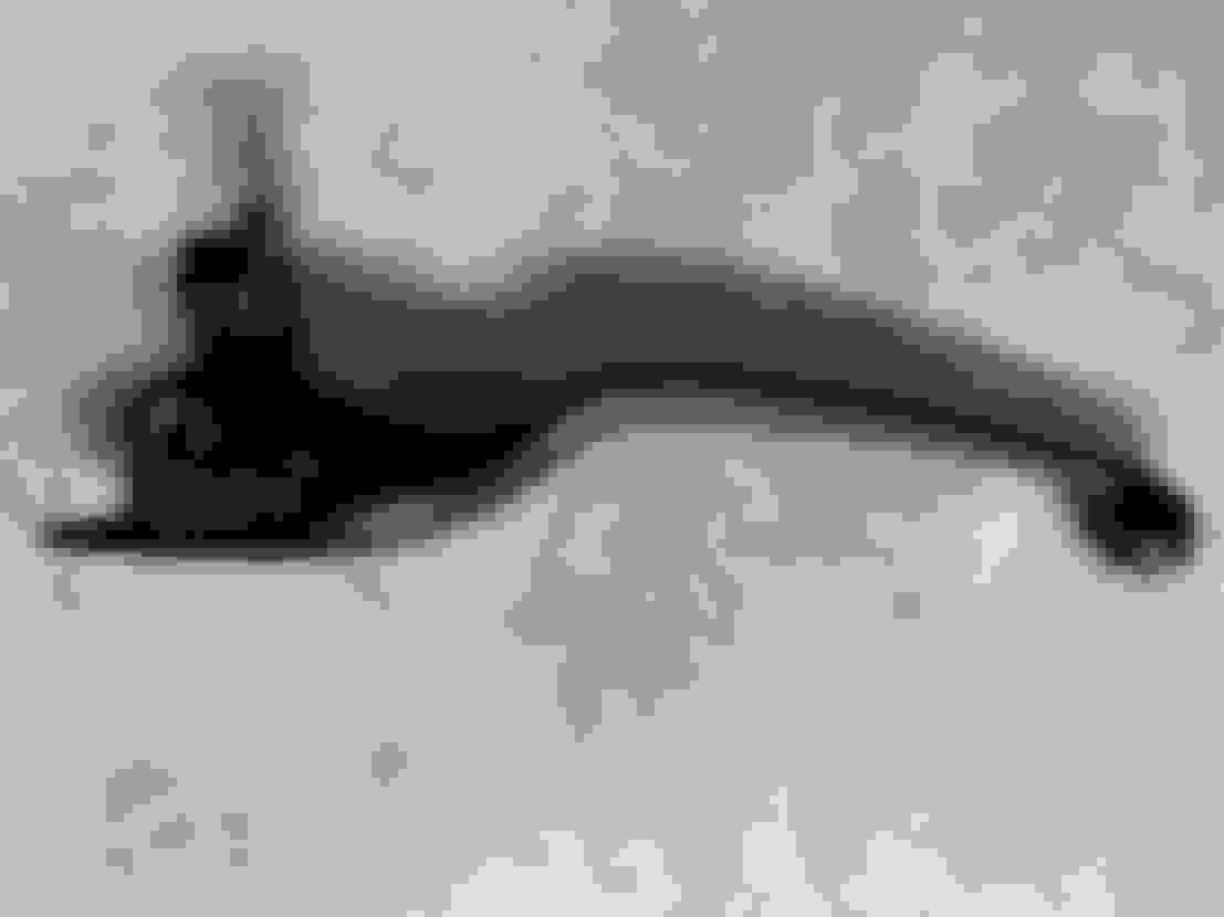 Softbrake clutch and brake levers Harley Davidson Forums