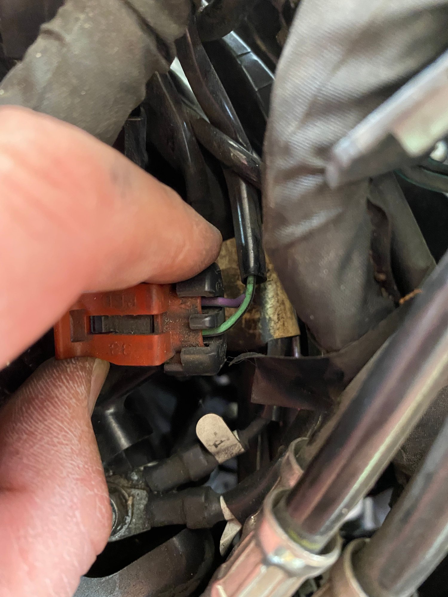 2012 Harley Sportster What Colir Wire Is Key On Running Top Sellers