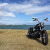 Menehune street bob