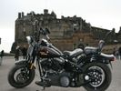 crossbones at the castle