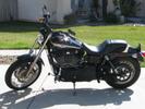 My 03 FXDX