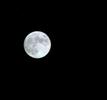 My photography