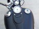 2010 Street Bob