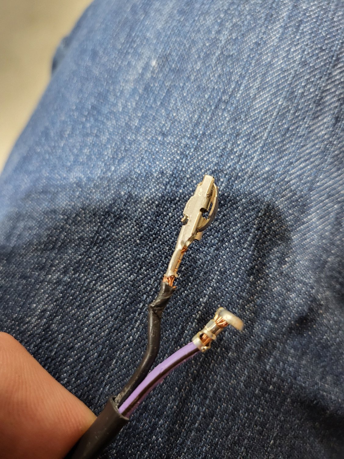 Terminal Help Harley Davidson Forums