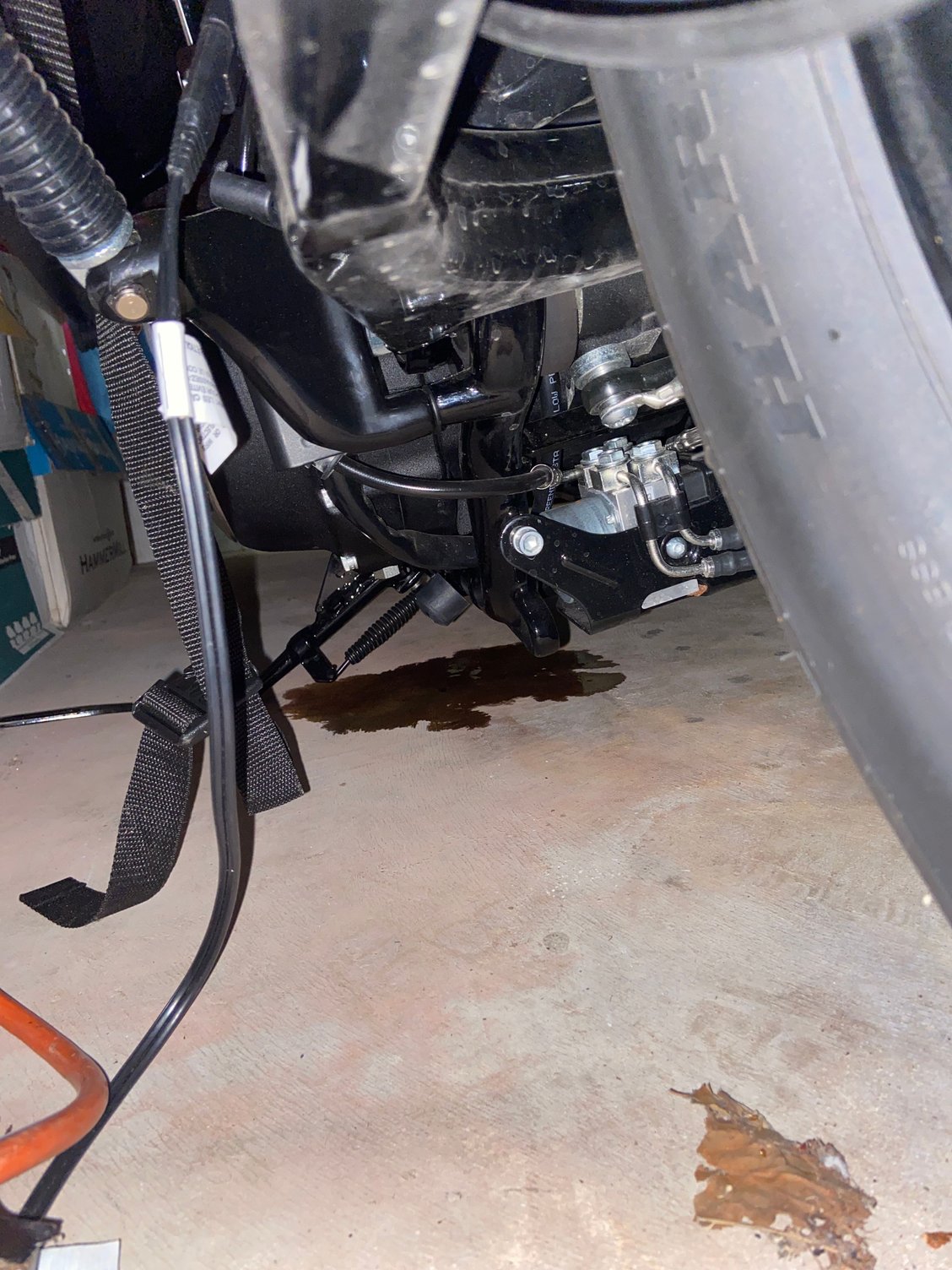Sportster 48 oil leak Harley Davidson Forums