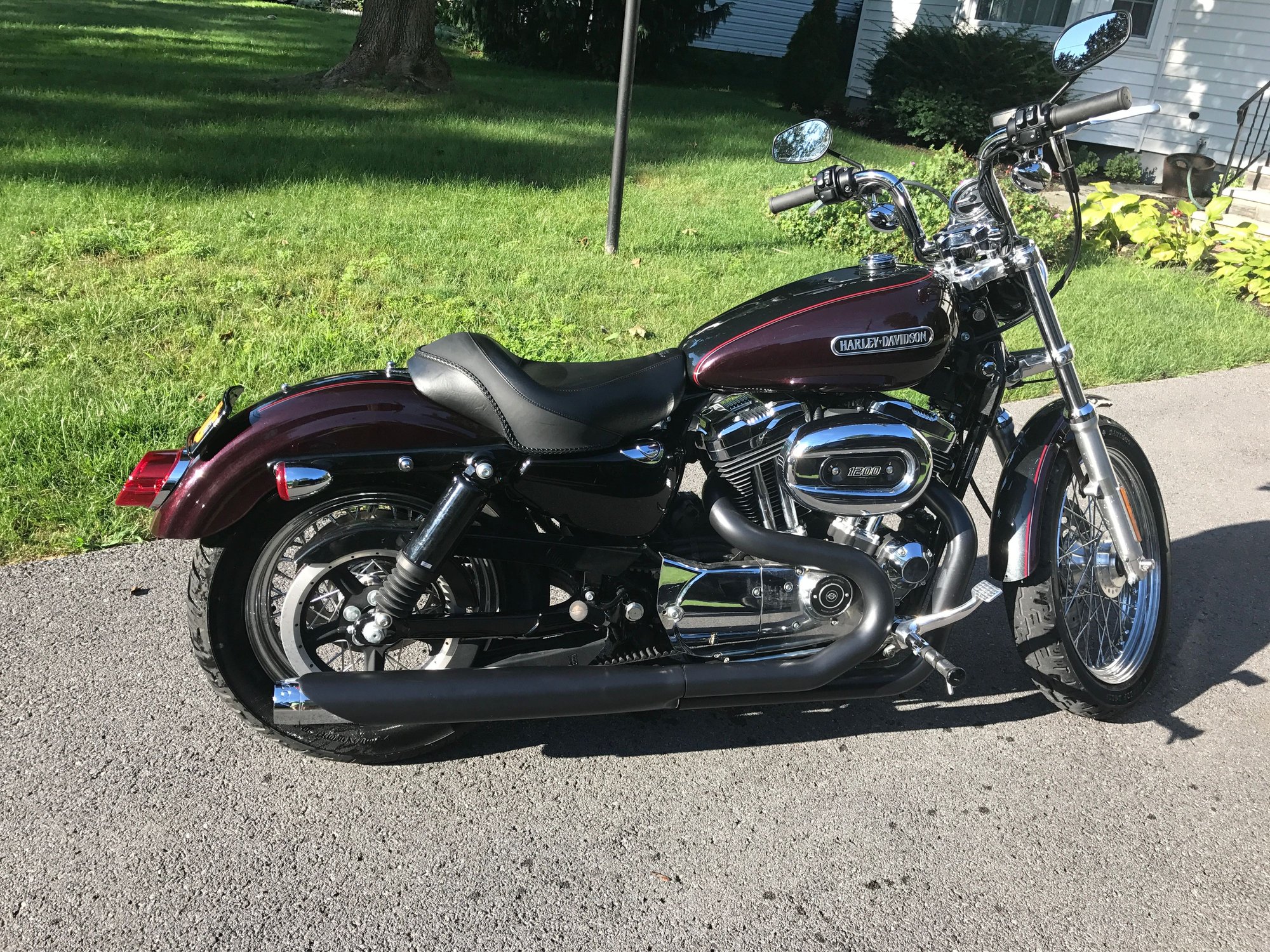 Clean 2006 Harley Davidson Sportster 1200 Low - Harley ...