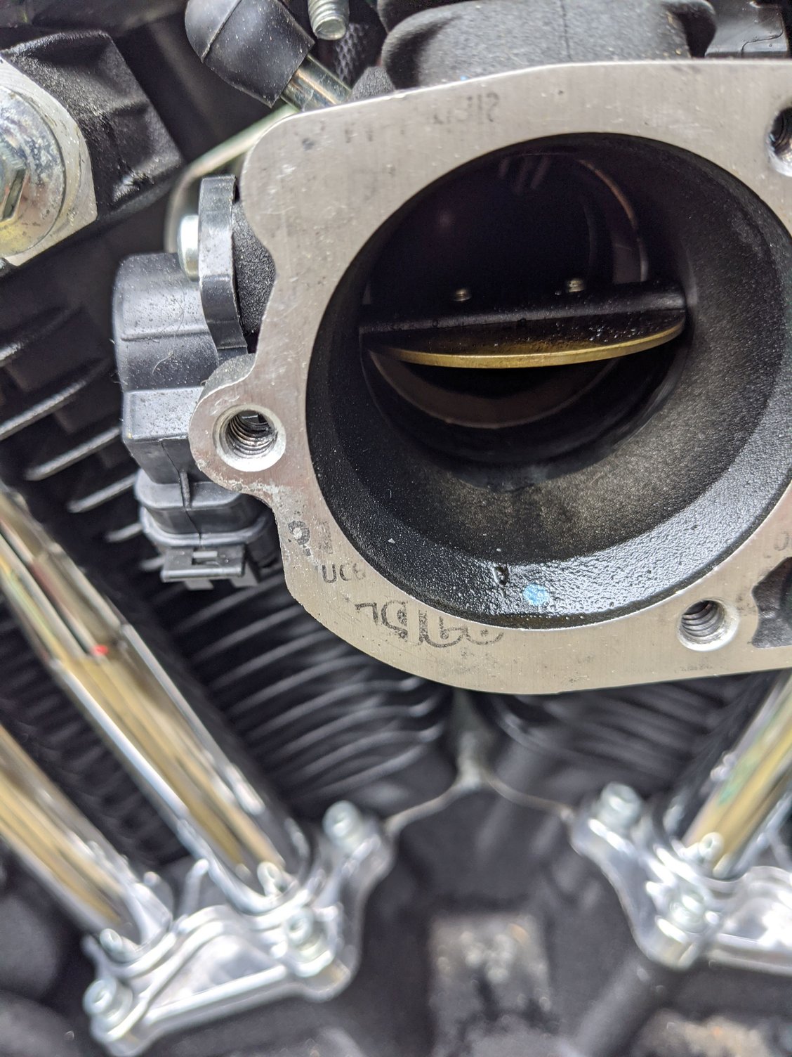 Throttle By Wire Harley Replacement