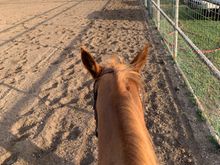  Couldn’t take much pictures but here’s one from before it started lol