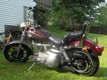  . . . & an actual FXSB in the wild ! 1 year only Bike with Chain Primary & rear Belt Drive , Evo motor in the 4 Speed Frame Kicker !