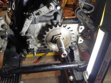 Shocks are out, now I can get at all the tranny and tranny plate mounting hardware.