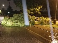 Here is just a small glimpse of the aftermath of the monsson. I passed about 5 downed trees during my one mile trip to wallymart to get zip ties and hogh strength fishing line to pull the wires with.