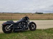 Out where the deer and the antelope roam...