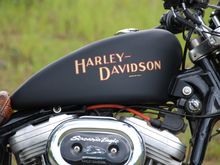 I tried goggle image for 1/2hr with no ID
Anyone tell me what year? Decal or silkscreen?
Thanks 