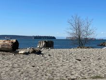 … Just down the beach there’s a nice park with some benches.