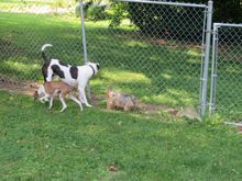 Lookin' for the rabbit that just kicked their butt!!!