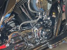 I think it looks great