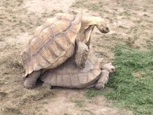 Even the old guys get it.