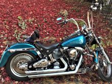 It's not a Delux. My Softail custom with 14"
