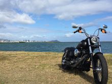 Menehune street bob