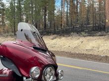 Fremont Forest fire aftermath.