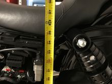 2016 FXDLS Stock Seat height