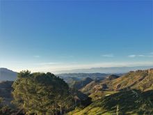 I like the canyons, I hate the politics, but I love California!