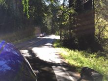 Leaving the redwood forest...
