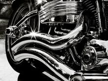 Harley2 7