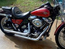 FXR1