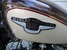 The 95th Emblem