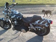 my 106" fatbob 106bhp 169nm at the wheel