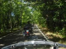 Tunnel of trees