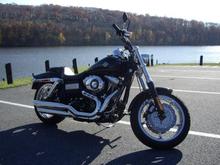 fat bob 6