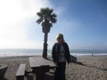 January 4 2012 319