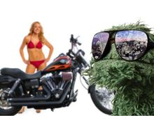 Challenge Accepted...