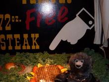 Bear is hungry