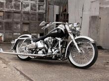 Harley Photoshoot 101