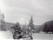 1994 Whites Pass WA