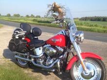 Fat Boy in he early evening sun near Squires Cafe, Sherburn in Elmet!